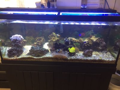 image1.JPG