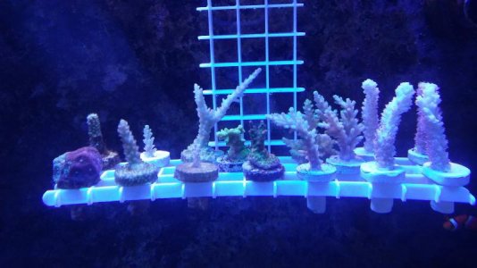 20170404_190853.jpg