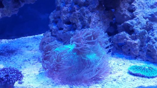 20170516_195944(0).jpg
