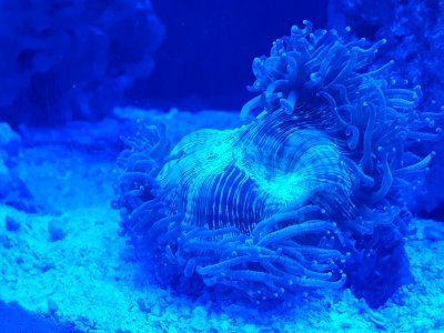 20170516_203339.jpg