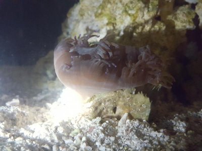 20170516_222109.jpg