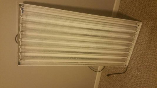 20170405_223126.jpg