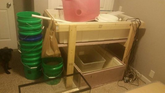 20170405_223135.jpg