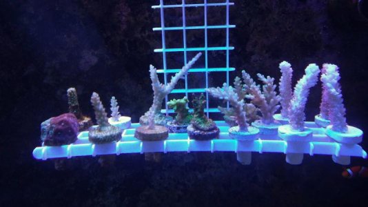 20170404_190853-01.jpg