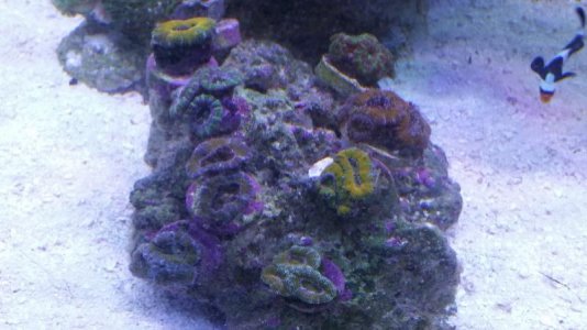 20170518_073716.jpg