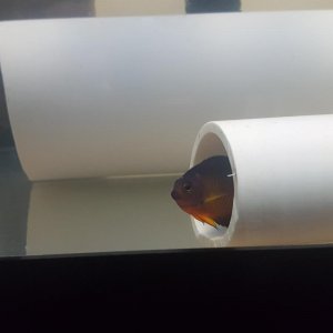 20170519_215727.jpg