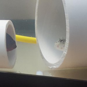 20170519_220523.jpg