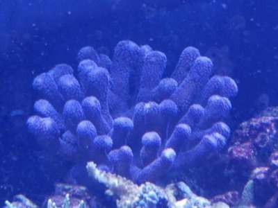 20170407_163548.jpg