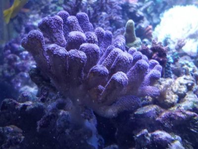 20170407_163557.jpg