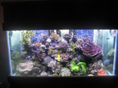 IMG_2135 1.jpg