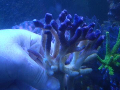P1012352.jpg