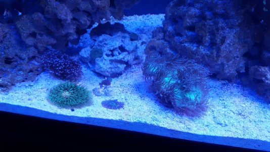 20170520_172008.jpg