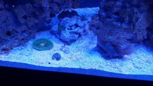 20170520_174956.jpg