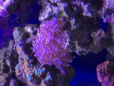 IMG_2324.jpg