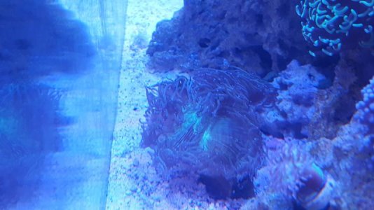 20170521_163240.jpg