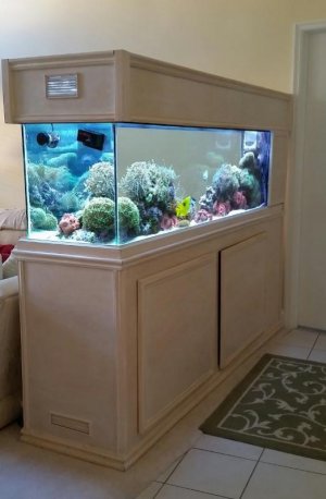 125 salt water tank (524x800).jpg