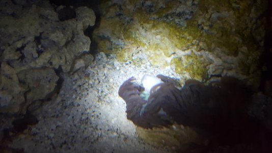 20170522_081019_001.jpg