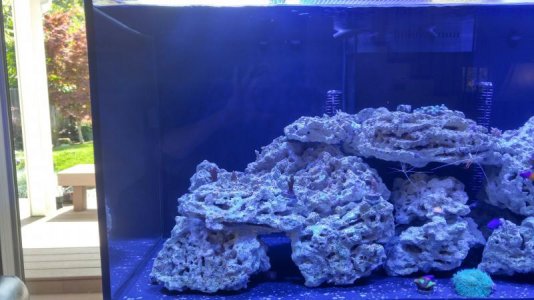 20170410_131545_HDR.jpg