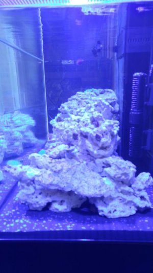 20170410_131834_HDR.jpg