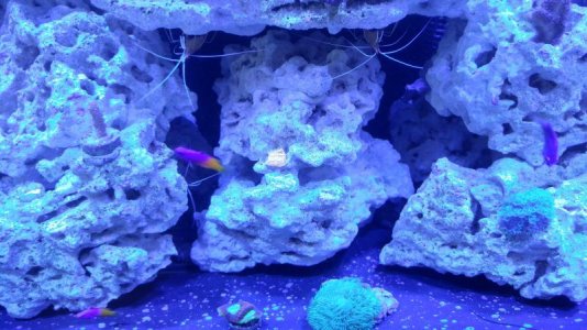 20170410_131853_HDR.jpg