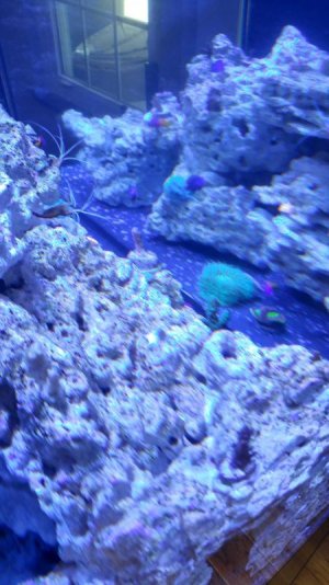 20170410_131908_HDR.jpg