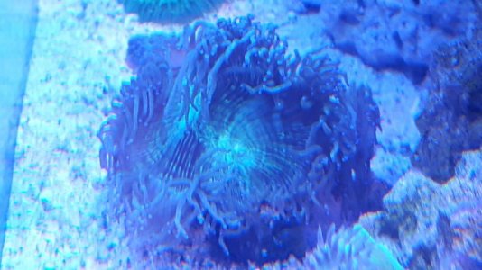 20170523_132804.jpg