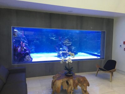 IMG_8141.jpg
