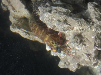 IMG_1920.jpg