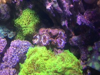 IMG_05991.JPG