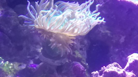 20170524_162948.jpg