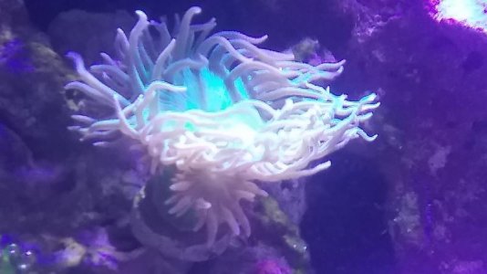 20170524_162927.jpg