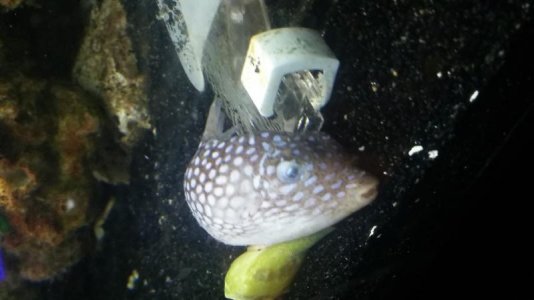 20170525_152438.jpg