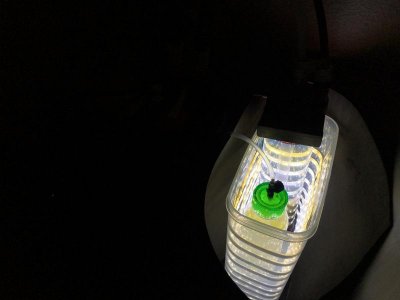20170525_052005812_iOS.jpg