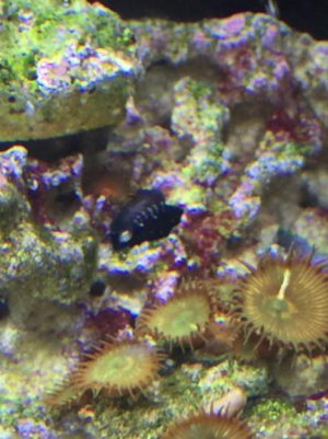 IMG_6608.jpg