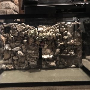 IMG_0335.jpg
