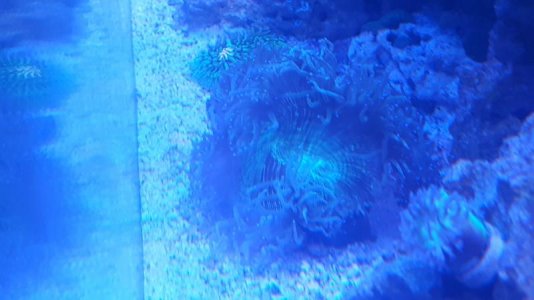 20170527_193235.jpg