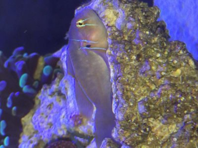 IMG_4990.jpg