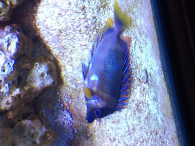 IMG_3146.jpg