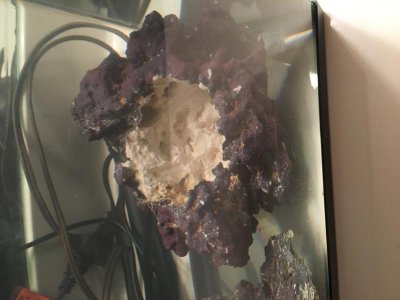 IMG_0550.jpg IMG_0550.jpg