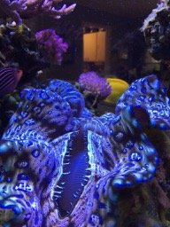 IMG_6267.jpg