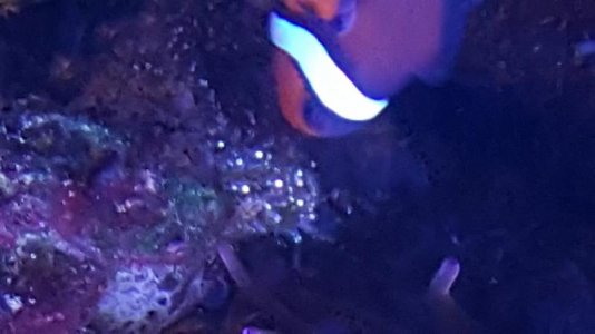 20170416_203017.jpg