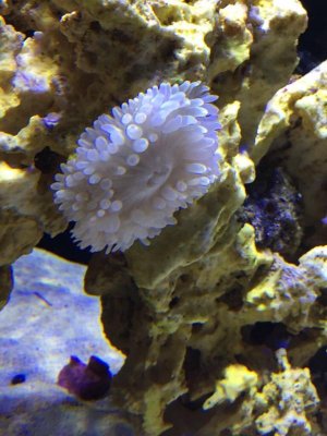 IMG_2295.jpg
