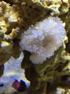 IMG_2292.jpg