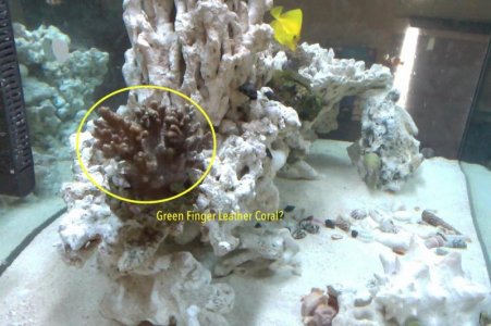 Photo on 2017-04-17 at 11.47 AM #2.jpg