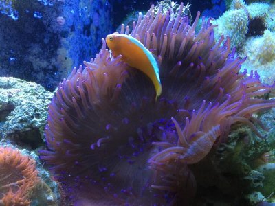 FullSizeRender (42).jpg