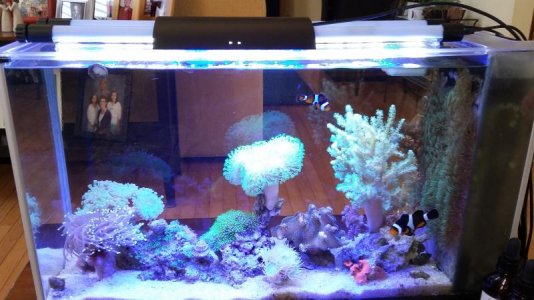20170417_154233.jpg