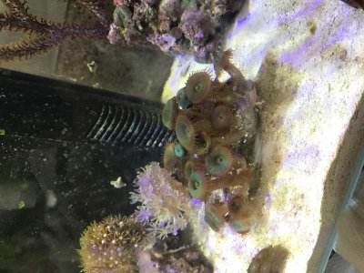 IMG_7281.JPG.jpg
