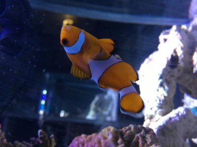 IMG_0645.jpg
