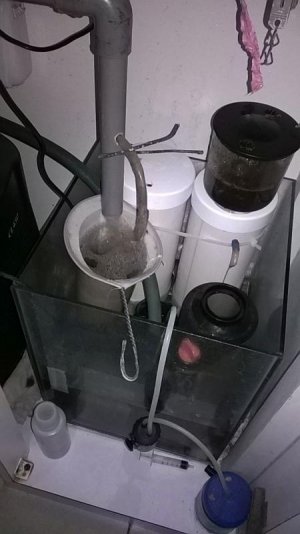 IMG-20170414-WA0002.jpg
