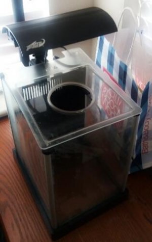 20170419_110039.jpg